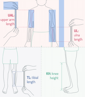 Estimation of stature